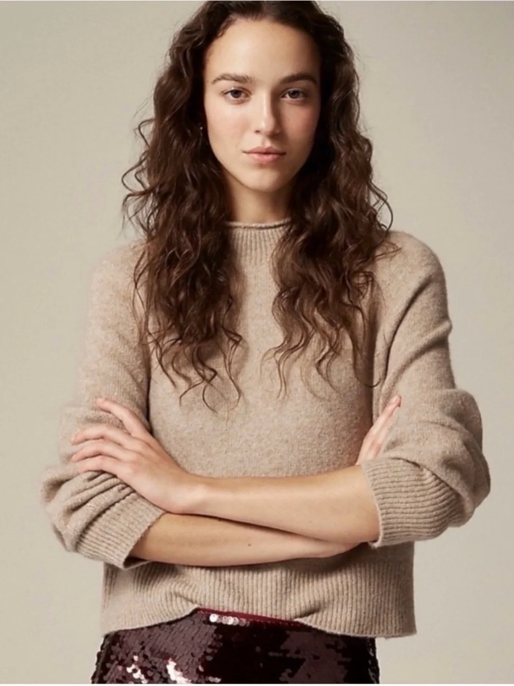 J. Crew Rollneck Sweater in Supersoft Yarn Tan Brown Gray Beige Merino Wool